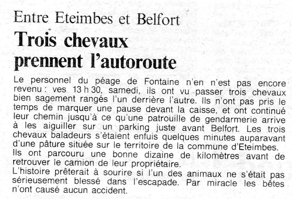 Eteimbes 1991 02 18